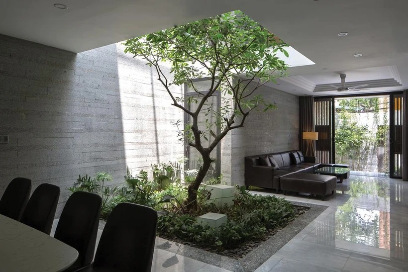thiết kế cây xanh trong nhà