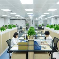 thiết kế văn phòng xanh